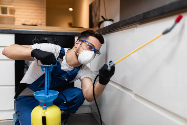 Best Commercial Pest Control Services  in Thousand Oaks, CA