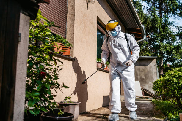 Best Wasp Removal Services  in Thousand Oaks, CA