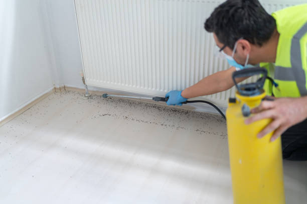 Best Bed Bug Extermination  in Thousand Oaks, CA