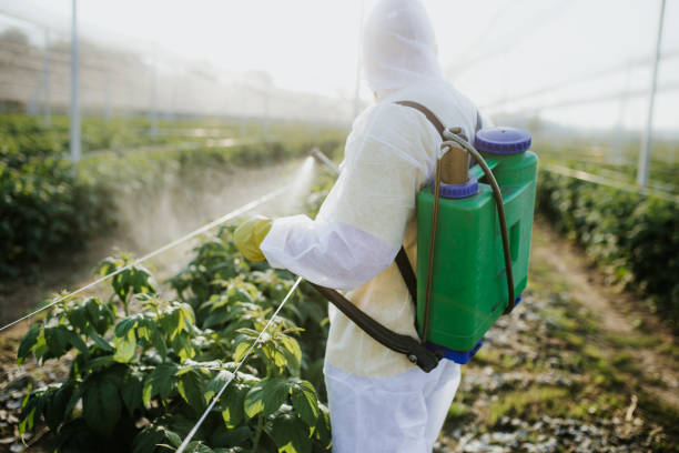 Professional Pest Control in Thousand Oaks, CA